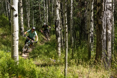 Two people mountain biking on a trail in a forest.
